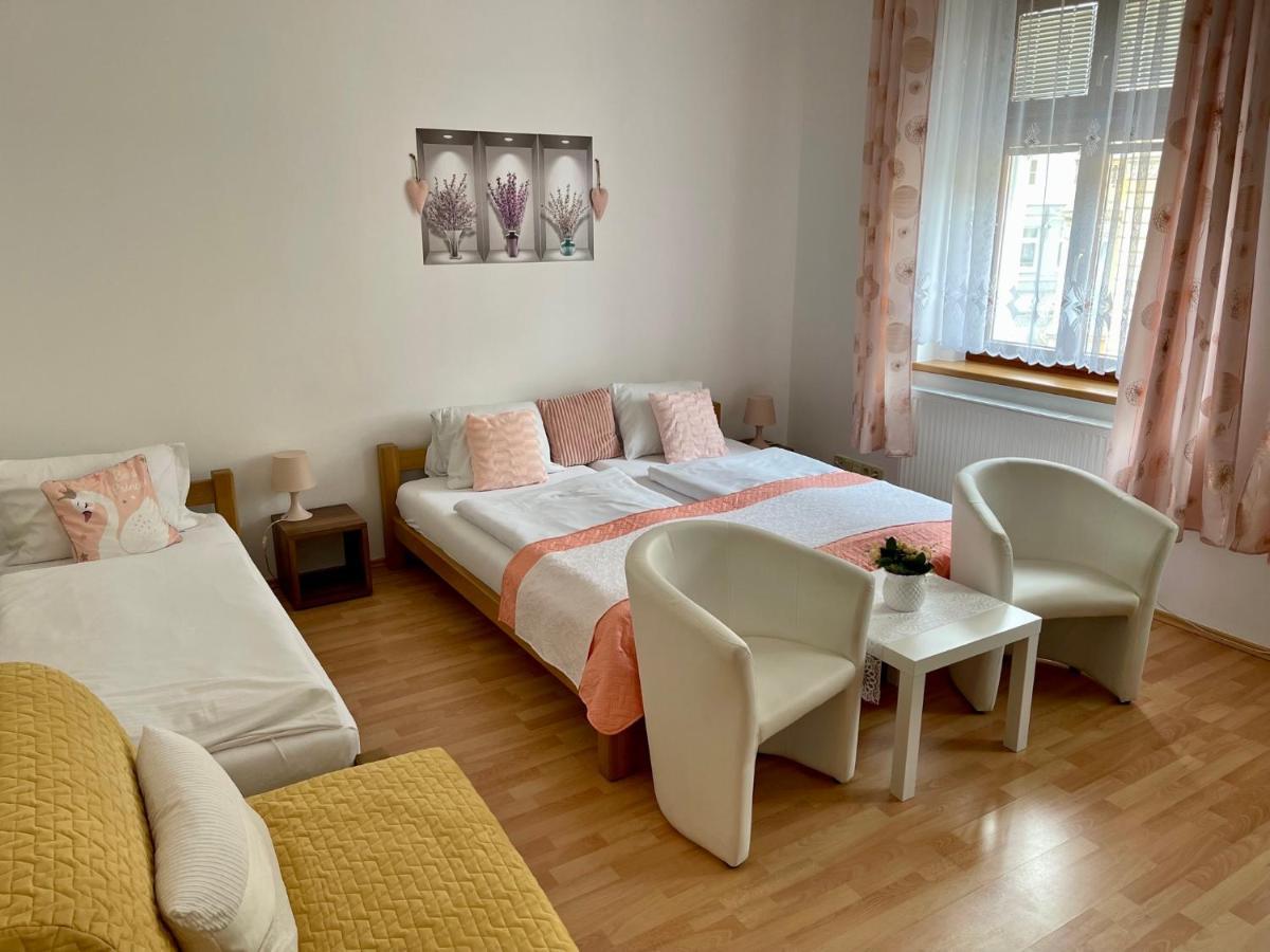 Penzion U Vlcku Cheb Dış mekan fotoğraf